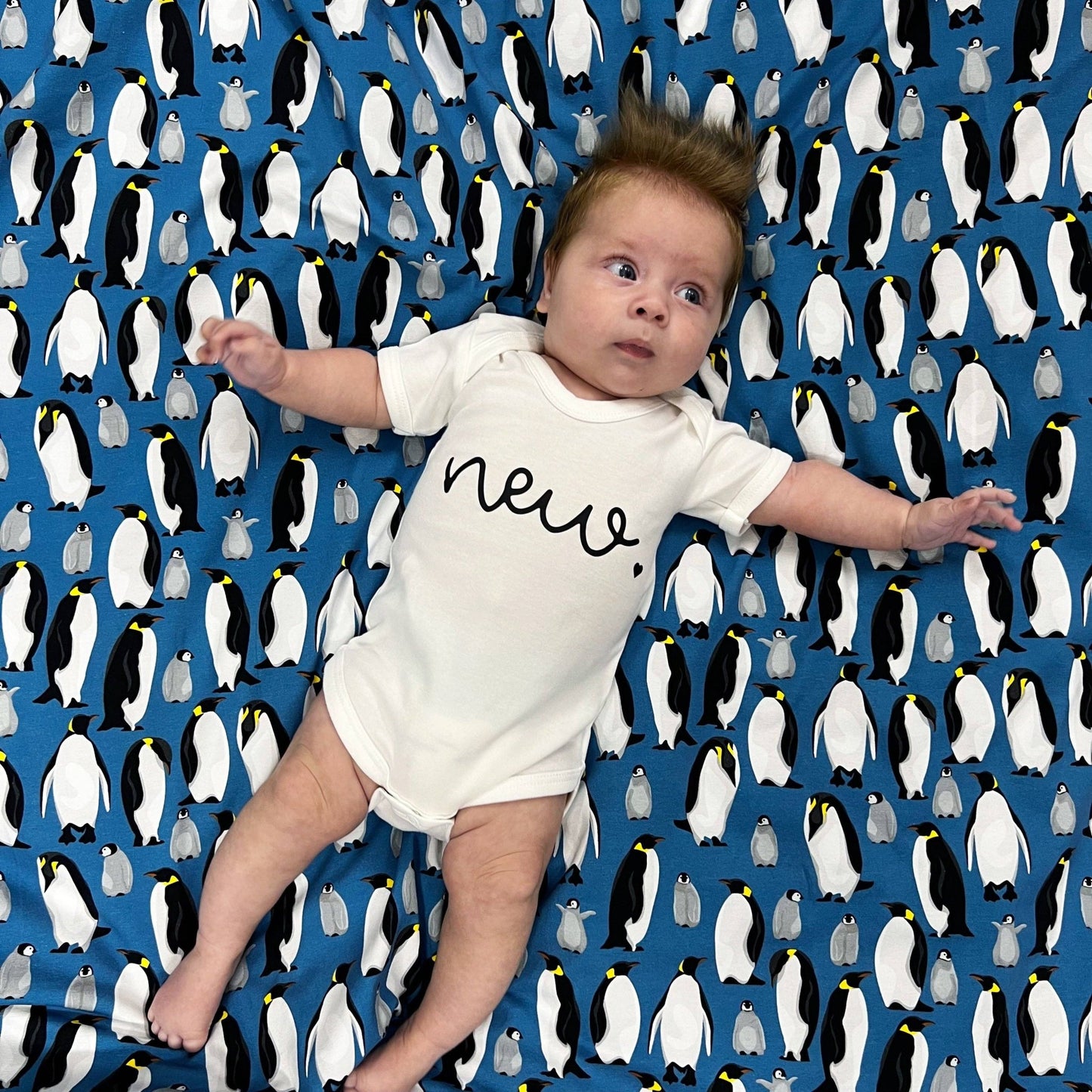 Blue Penguin cotton sleepsuit: 0 - 3 M - Violet Elizabeth -