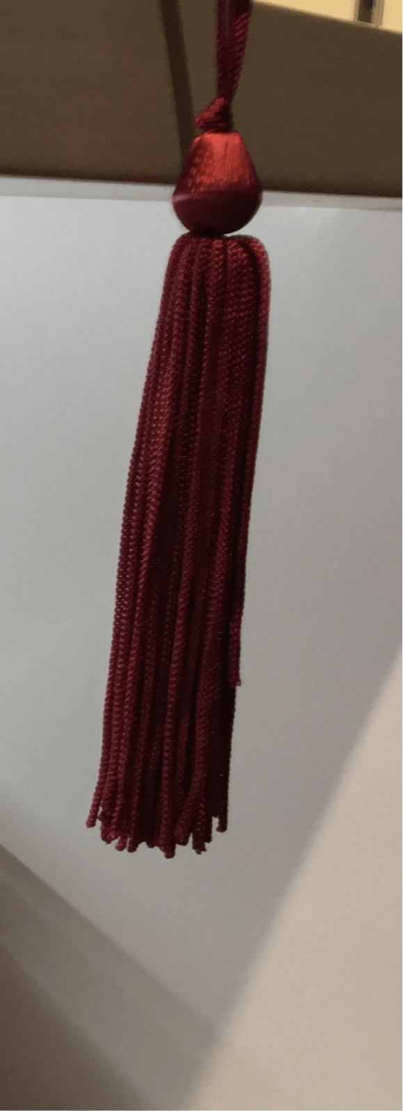 Tassels 105mm stylish design - Violet Elizabeth - Haberdashery