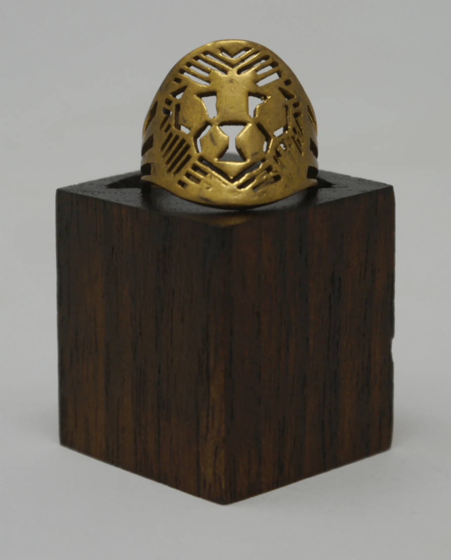 Lion face - Violet Elizabeth - Jewellery