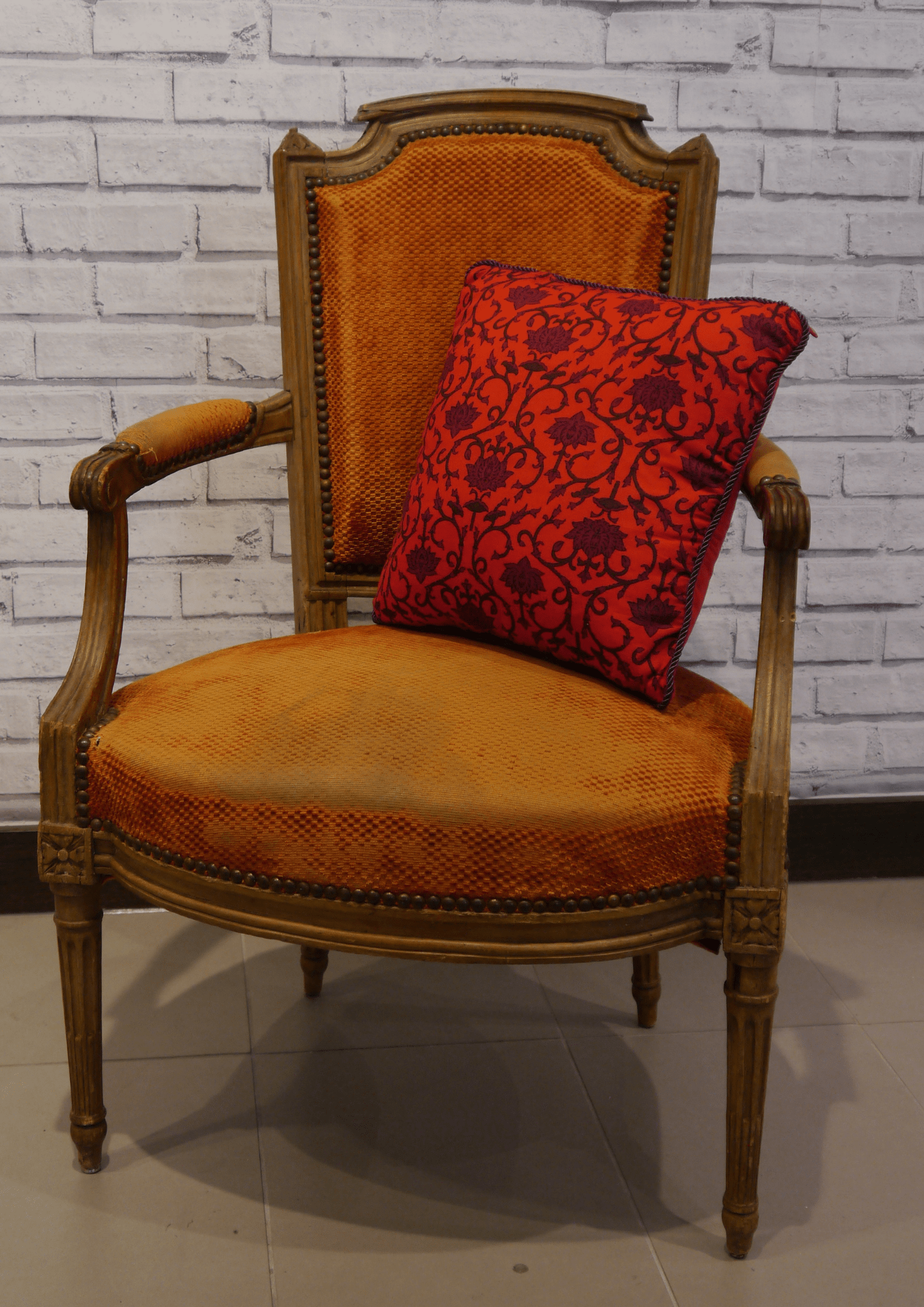 Rose Bush large - Violet Elizabeth -