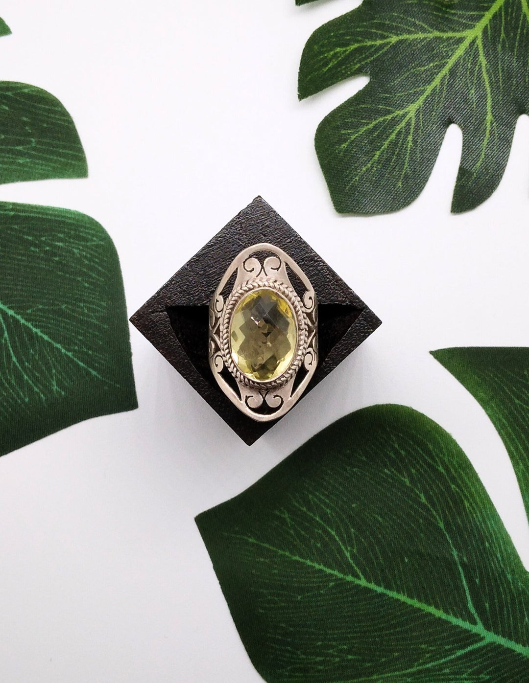 Citrina - Violet Elizabeth - 