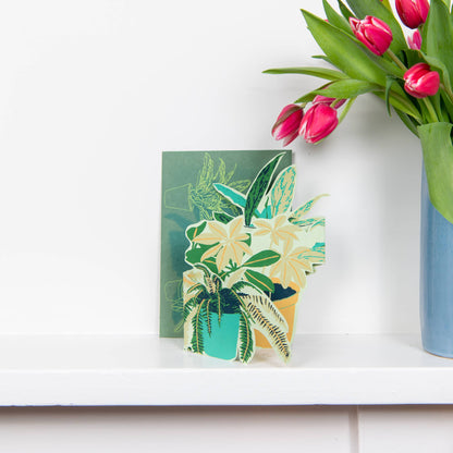 Plant Pot Concertina Greeting Card: C5 - Violet Elizabeth - Gift Cards