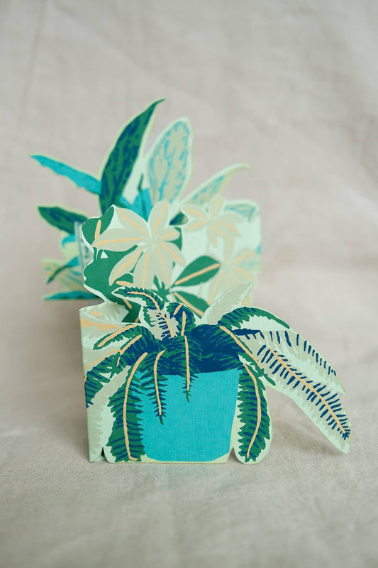 Plant Pot Concertina Greeting Card: C5 - Violet Elizabeth - Gift Cards