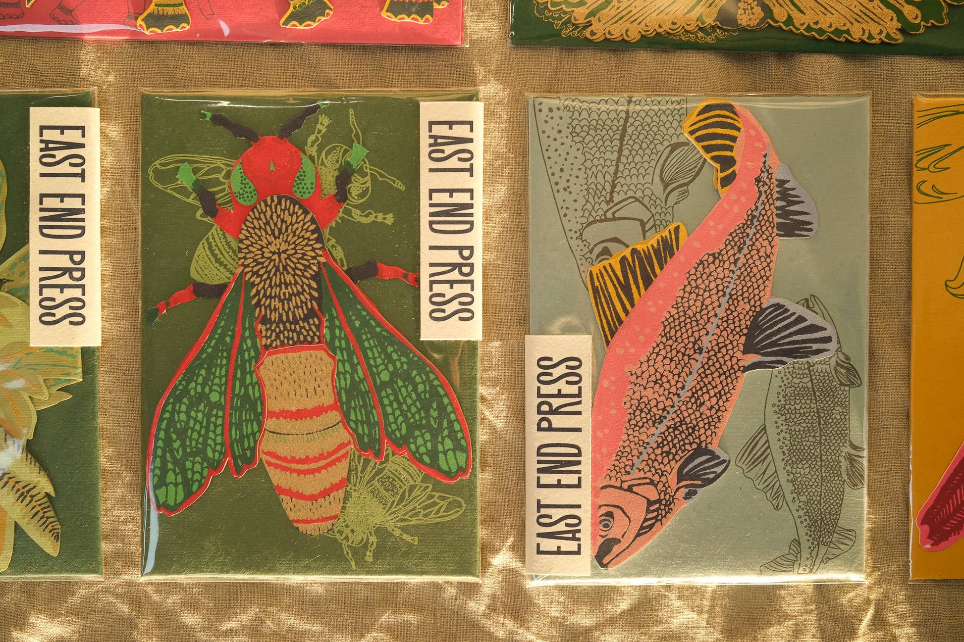 Salmon Greeting Card - Violet Elizabeth - Gift Cards