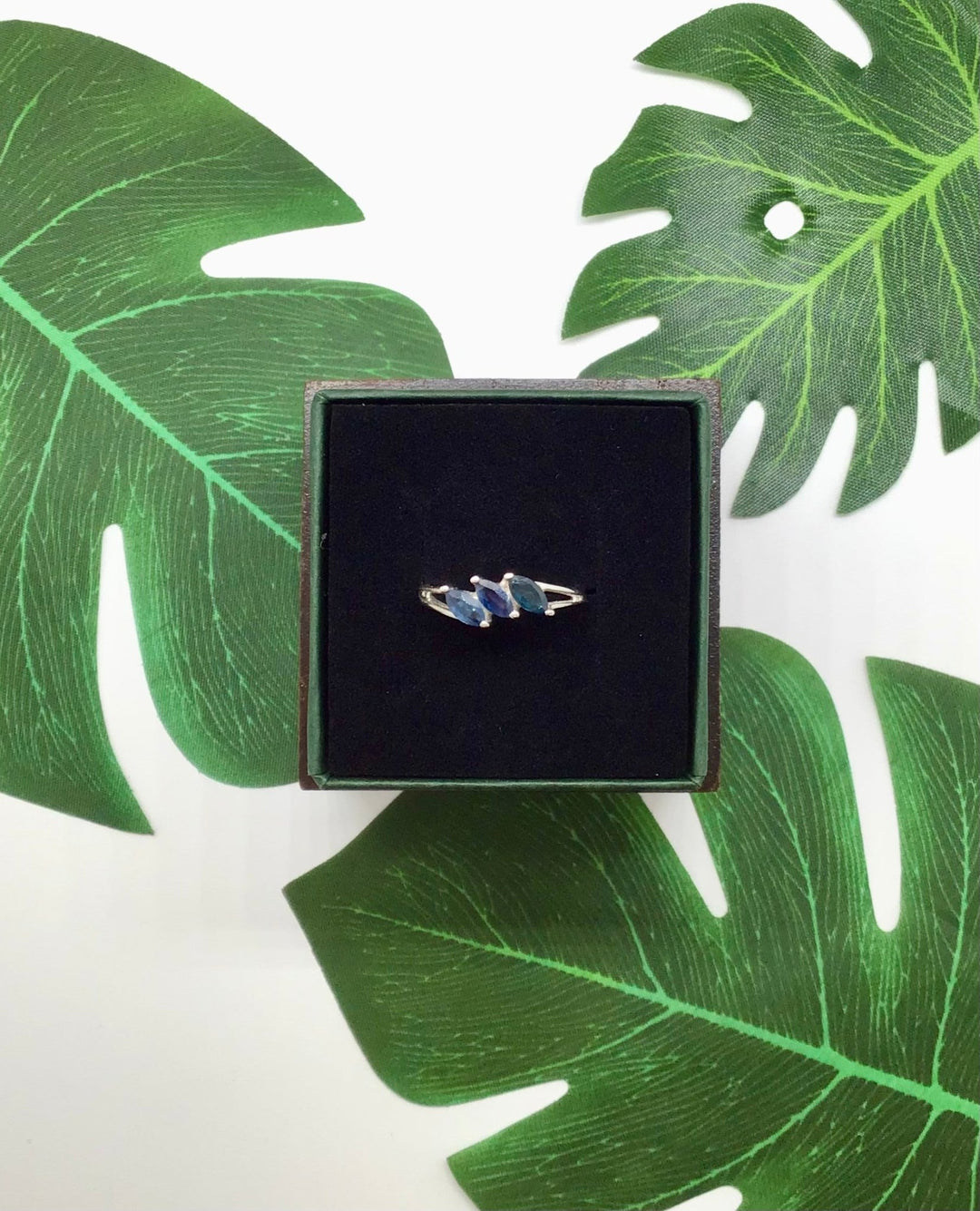 Saturn's beloved - Violet Elizabeth - 