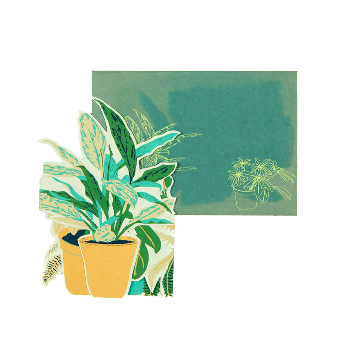 UK/EU: Plant Pot Concertina Greeting Card - Violet Elizabeth -