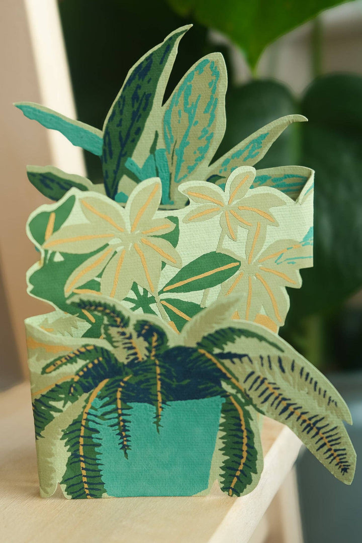 UK/EU: Plant Pot Concertina Greeting Card - Violet Elizabeth -