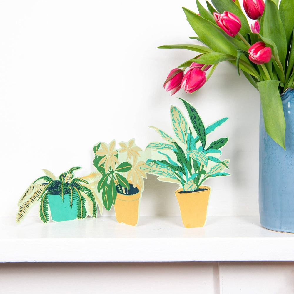 UK/EU: Plant Pot Concertina Greeting Card - Violet Elizabeth -