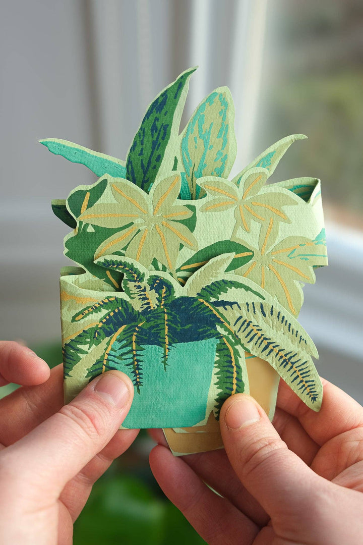UK/EU: Plant Pot Concertina Greeting Card - Violet Elizabeth -