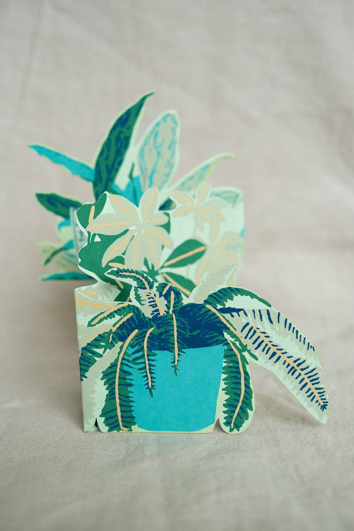 UK/EU: Plant Pot Concertina Greeting Card - Violet Elizabeth -