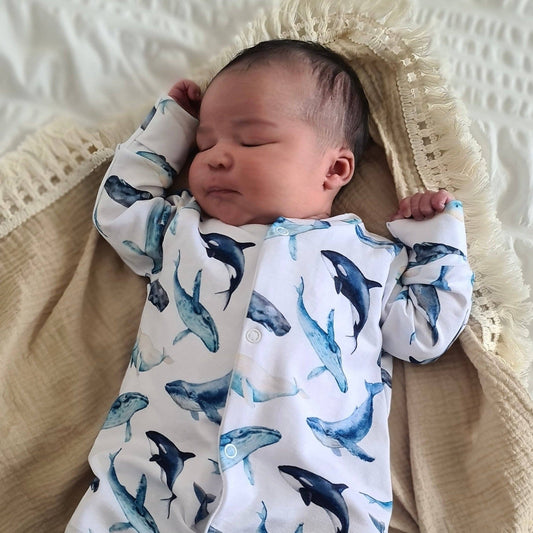 Whale print cotton sleepsuit: 6 - 12 M - Violet Elizabeth - 