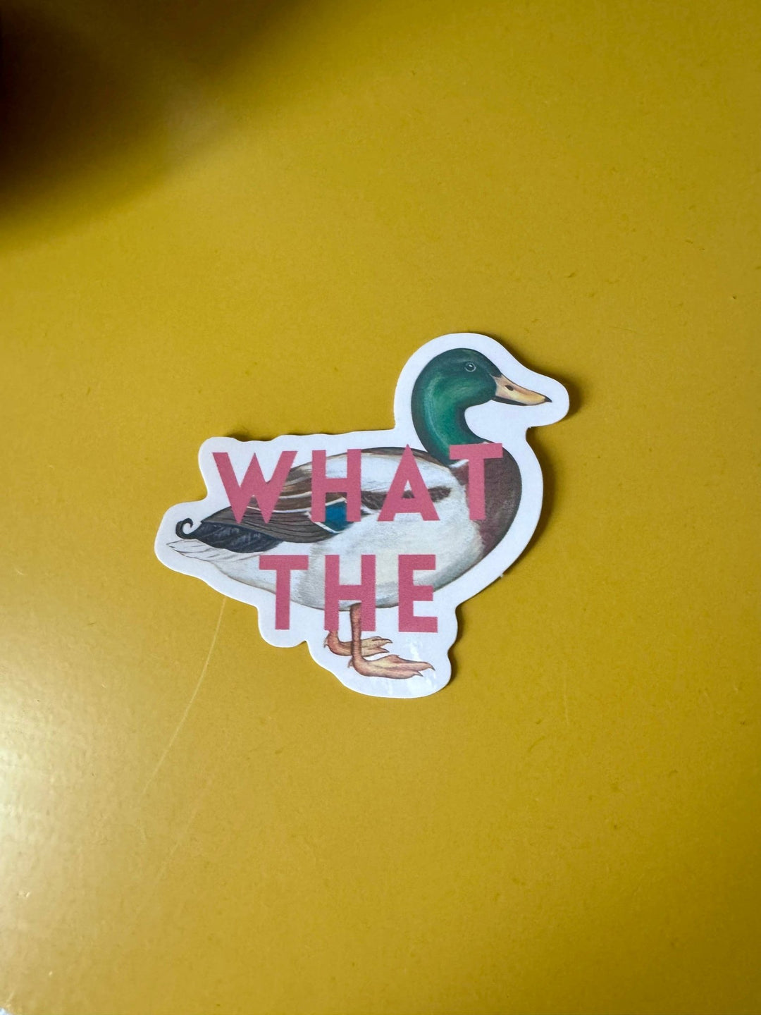 What the duck sticker - Violet Elizabeth - 